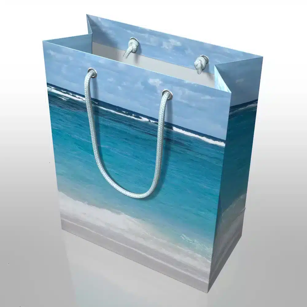 Paper Shopping Bag with Photo Printing