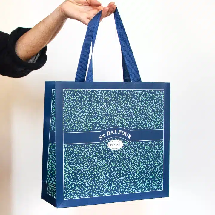 Paper Shopping Bag with Ribbon Handles