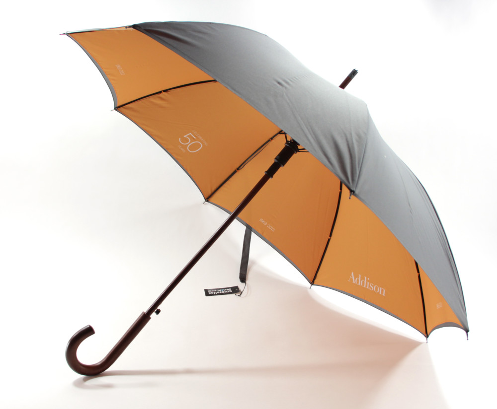 Contrast Color Two Layer Umbrellas