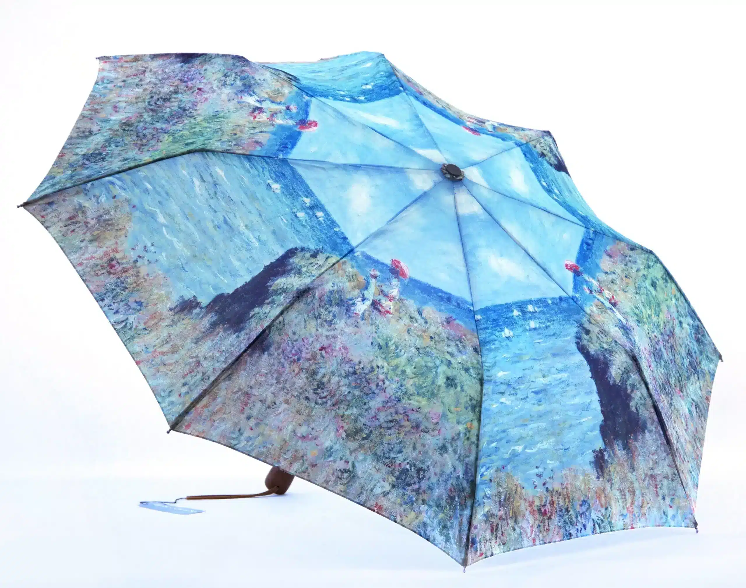 Custom Full Color Umbrellas