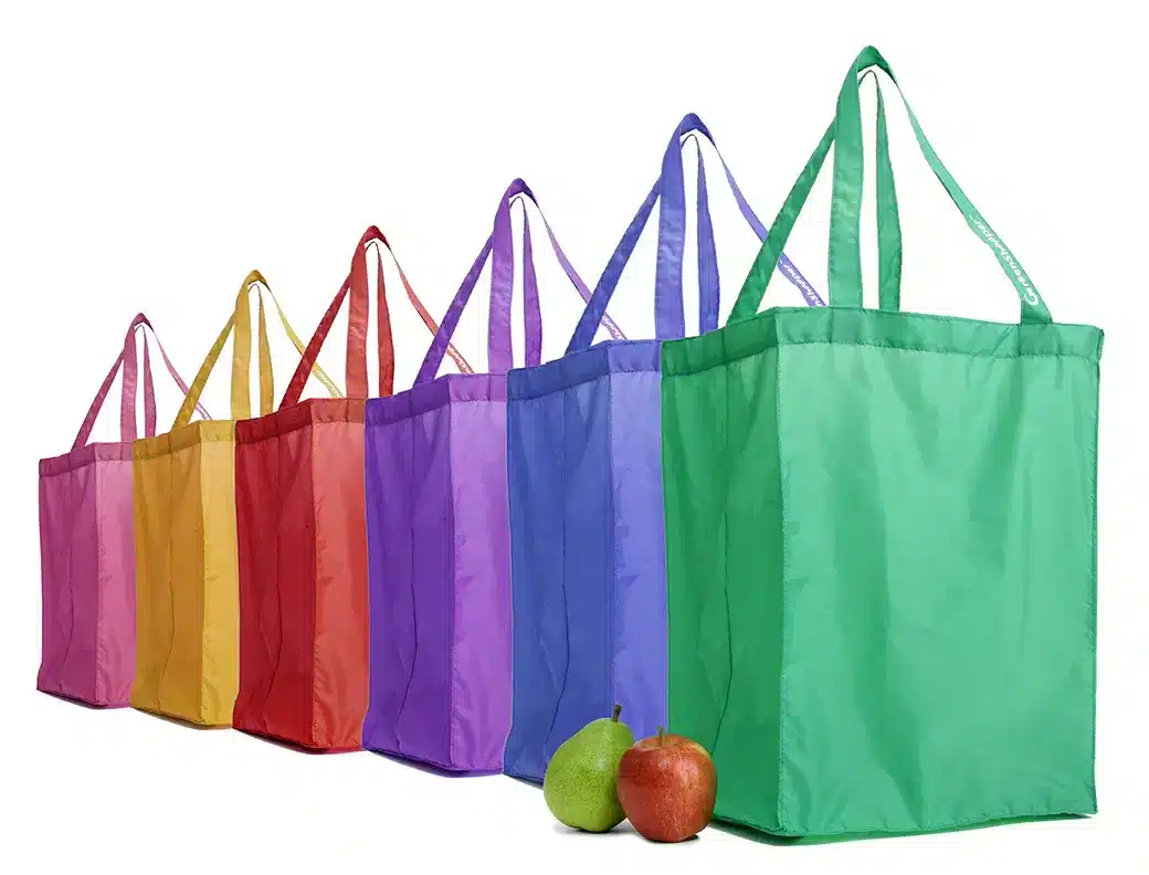 Reusable Nylon Shopping Bags