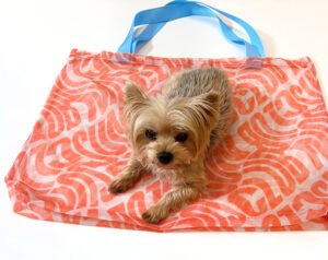 Printed Mesh Tote