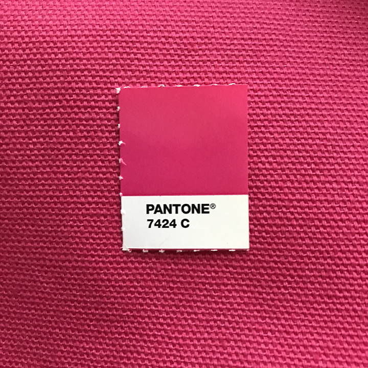 HOT PINK Pantone Canvas #7424