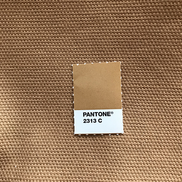 TAN Pantone Canvas #2313c