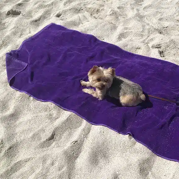100% Cotton Beach Towels Purple Beach Towel