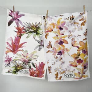 Tea Towels Hanging
